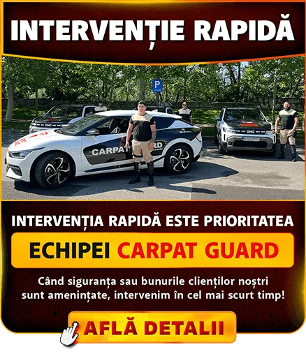 Monitorizare interventie rapida