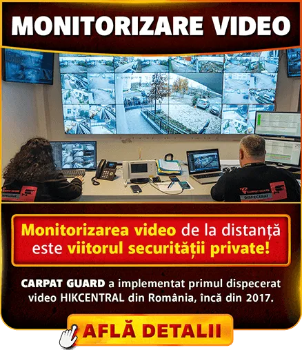 Paza electronica - video